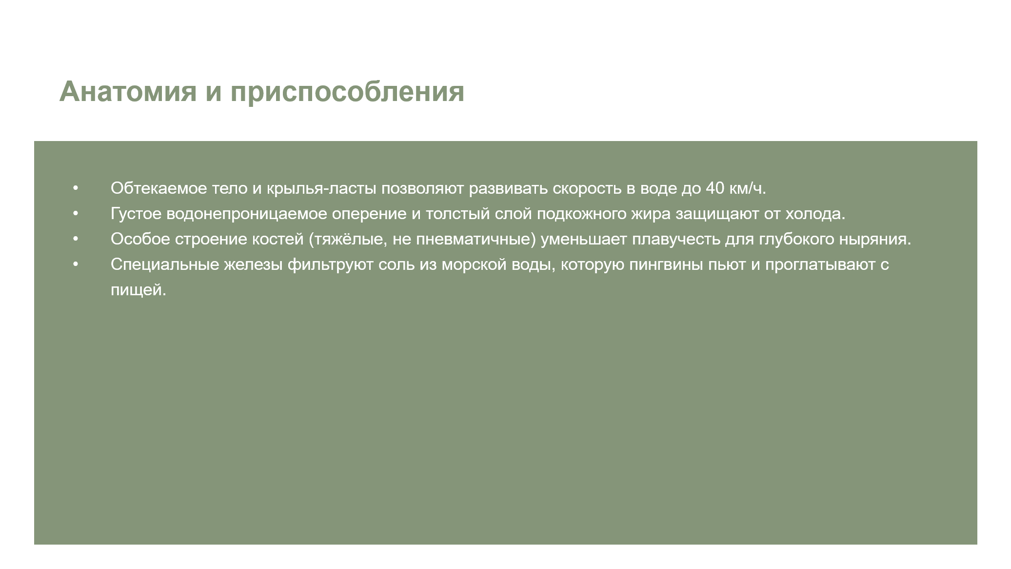 Пингвин - Житель холодных районов Земли - слайд 3